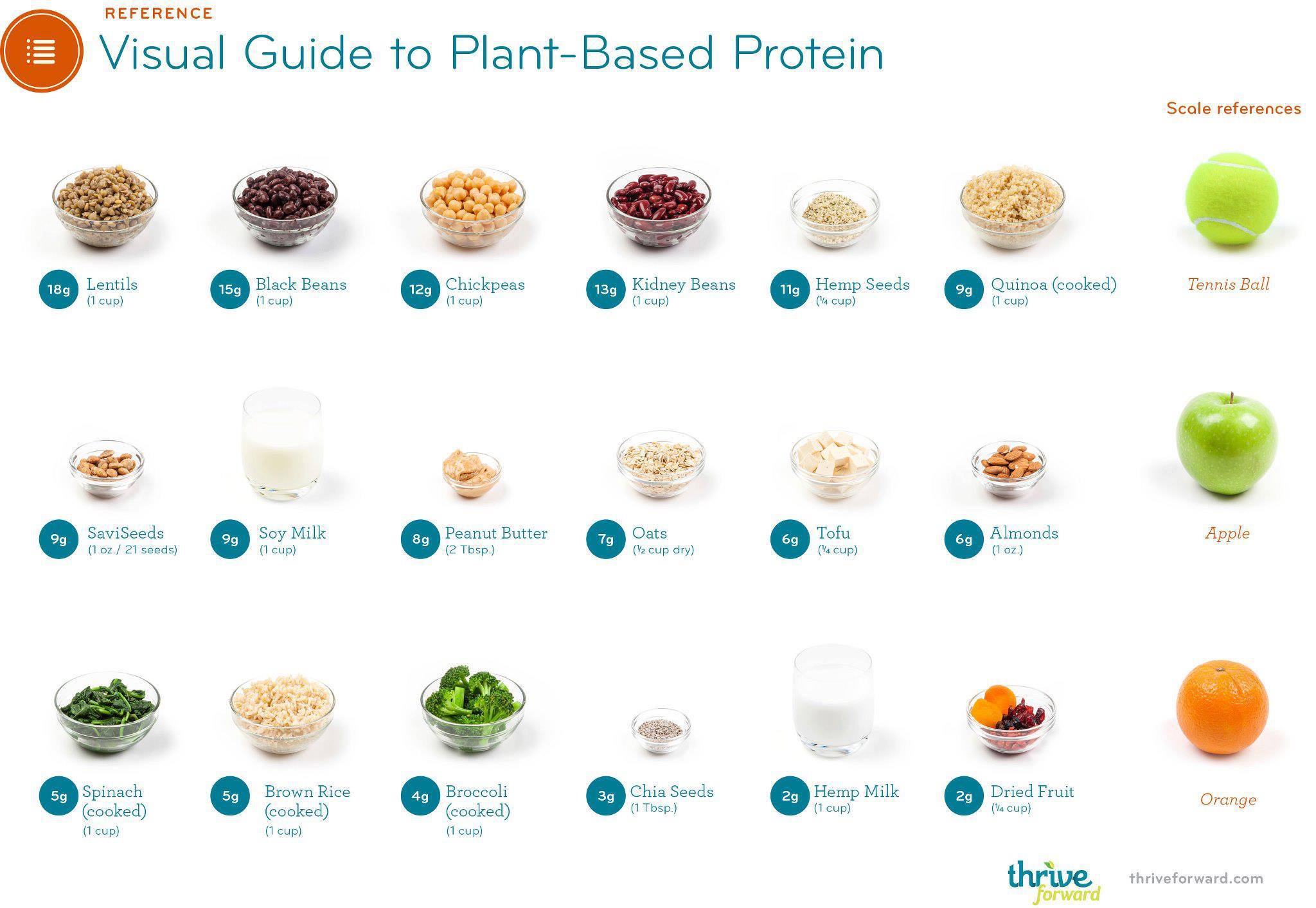 Plant-based protein guide | The Frugal Domestic